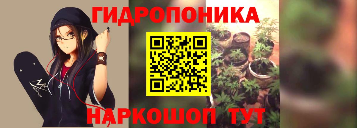 Шишки марихуана марихуана  Вход с VPN  Конопля семена  Каннабис Bruce Banner  Бошки марихуана SATIVA & INDICA  Богородск 